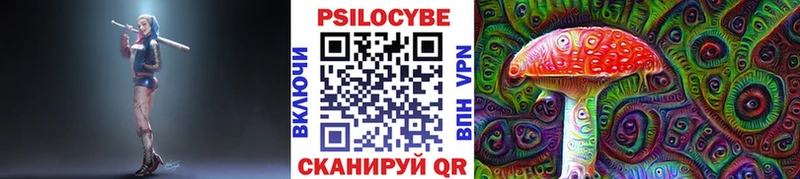 дарнет шоп  Иваново  Псилоцибиновые грибы Cubensis 